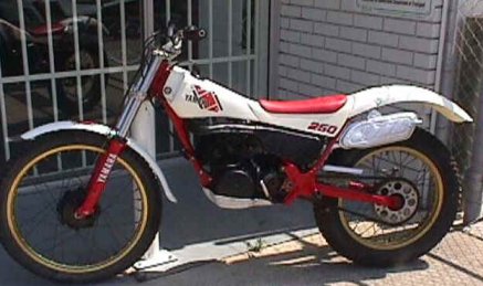 TY 250